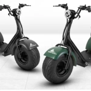 Mini Scooter Elétrica 1000W